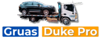 gruasdukepro.com